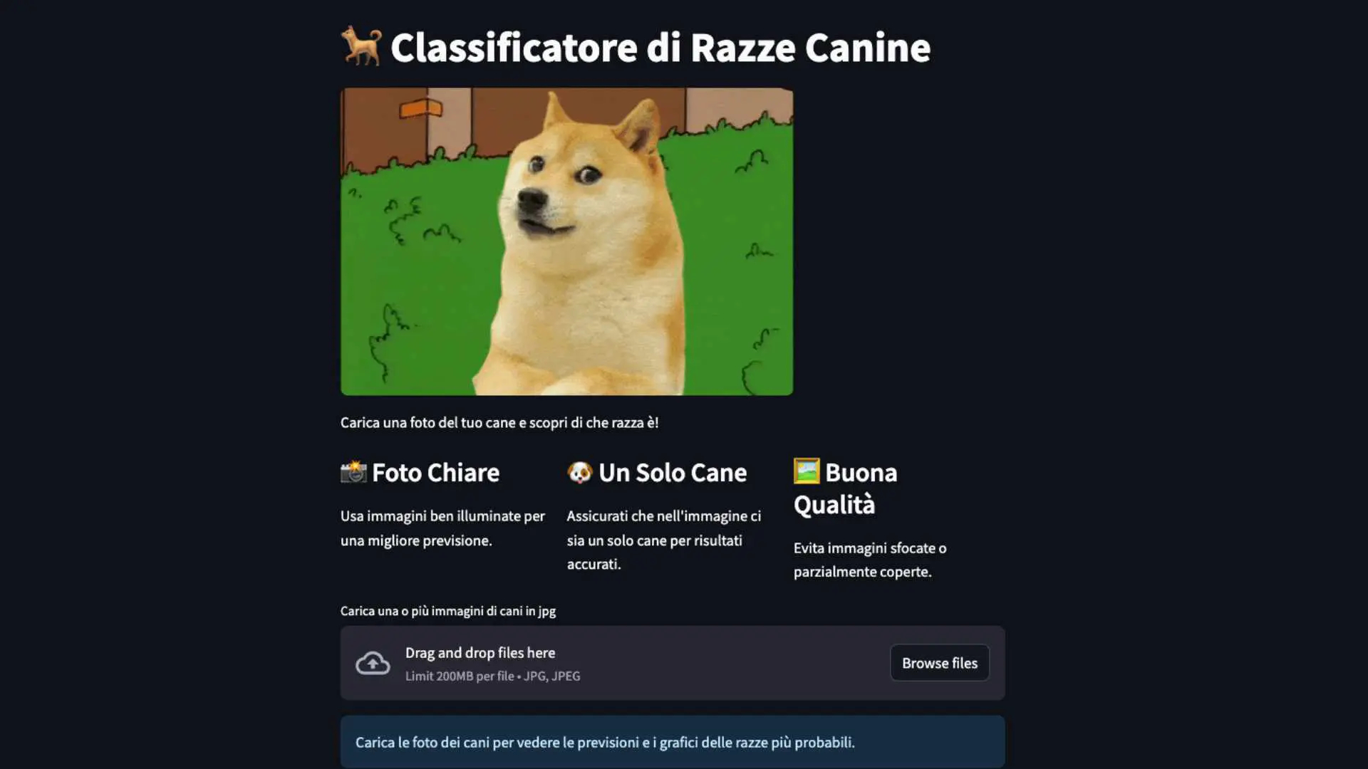 Schermata del sito web 'Classificatore di Razze Canine'. L'immagine mostra un'interfaccia utente semplice con un'area di caricamento delle foto e istruzioni per ottenere risultati accurati (foto chiare, un solo cane, buona qualità)