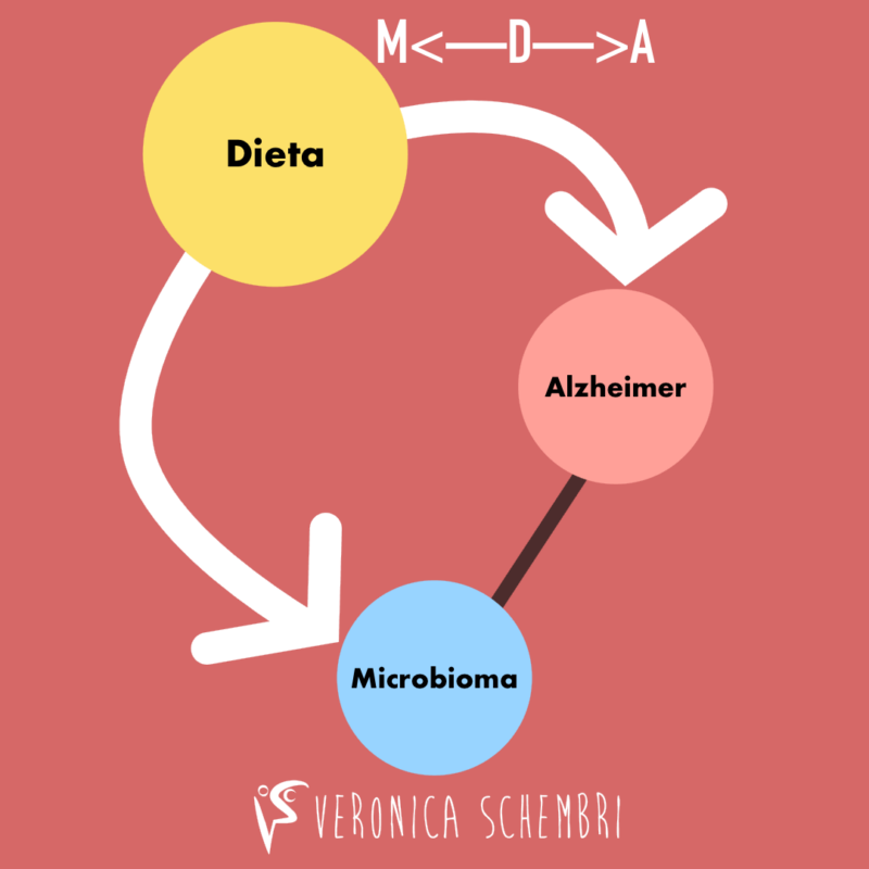 Illustrazione di un grafico Causale MA, per esplorare la relazione tra Alzheimer, Microbioma e Dieta
